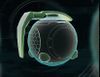 Poison weapons.jpg