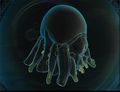 Thumbnail for version as of 10:01, 9 November 2020