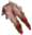 Evolved Pincer