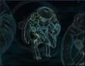 Thumbnail for version as of 10:38, 9 November 2020
