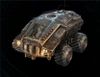 Armadillocrop.jpg