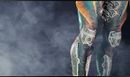 Agile legs.jpg