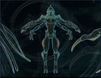Triton Autopsy.jpg