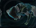 Thumbnail for version as of 08:35, 22 October 2020