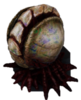 Mindfragger egg.png