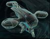 Synedrion Aircraft Technology.jpg