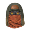 1swampcat helmet t.png