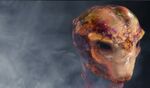 Armored head.jpg