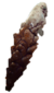 Stability Legs